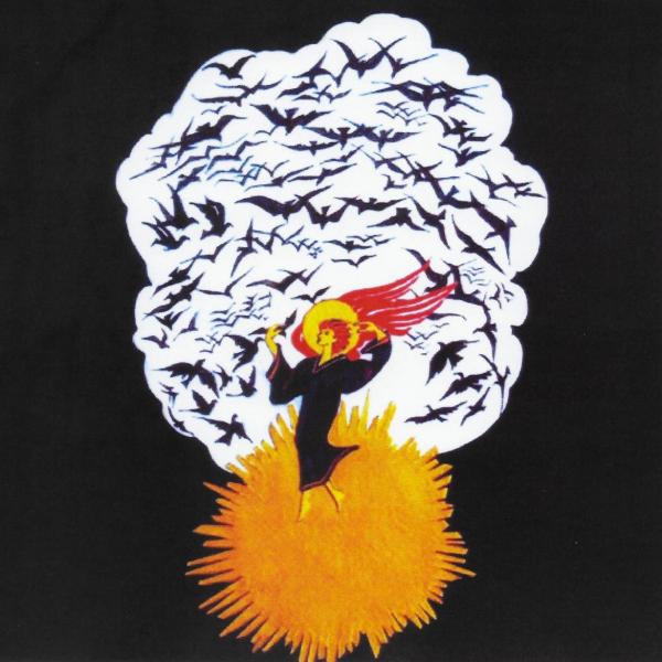 Apocalisse 050 - L'angelo ritto nel sole