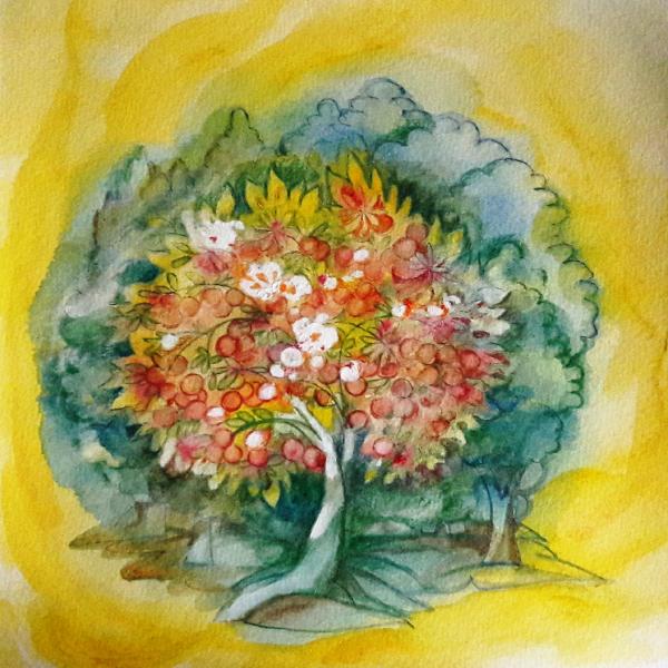 Cantico dei Cantici 7, 14 - ...e alle nostre porte c'è ogni specie di frutti squisiti