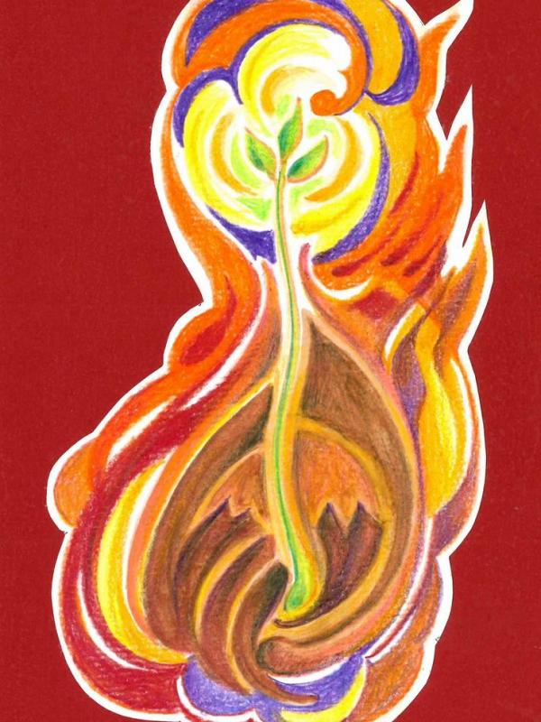 Salmo 12, 6